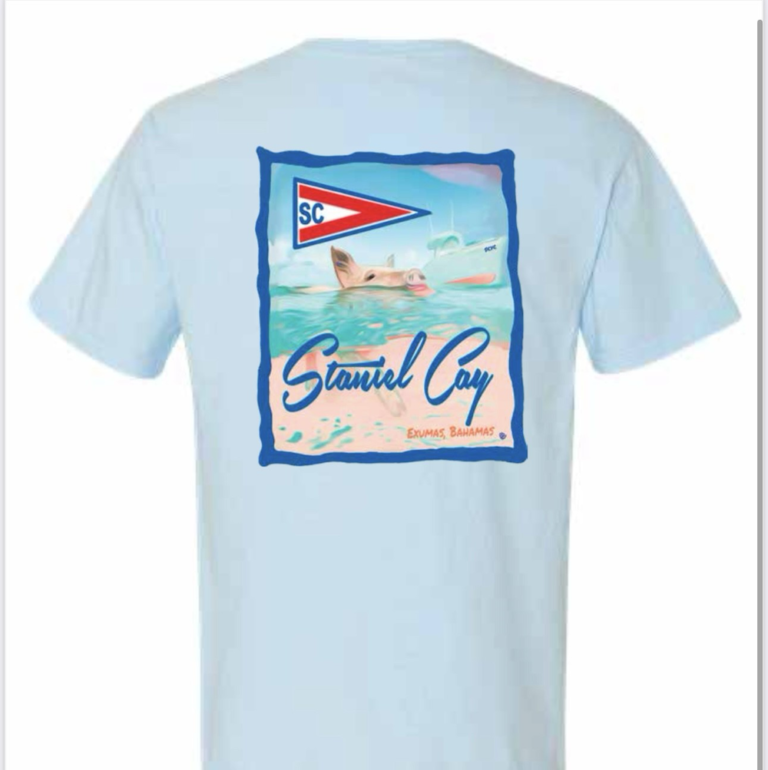 Adult Pig Tee - Light Blue