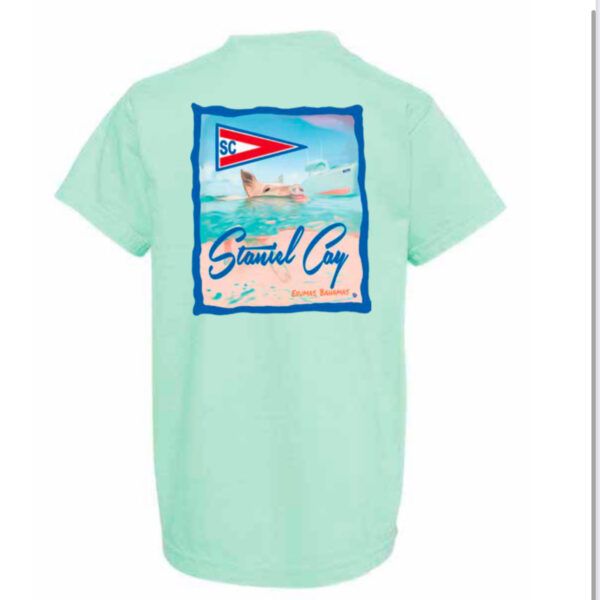 Youth Pig Tee - Seafoam