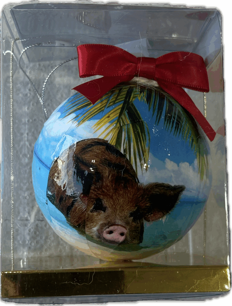 MAT Swim Pig Ornament